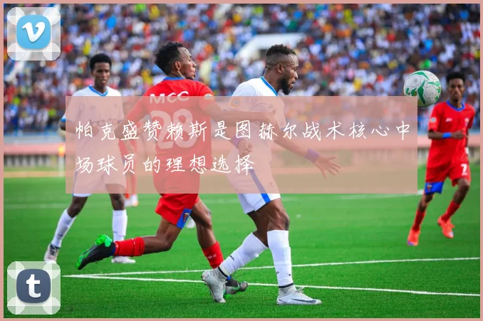 帕克盛赞赖斯是图赫尔战术核心中场球员的理想选择