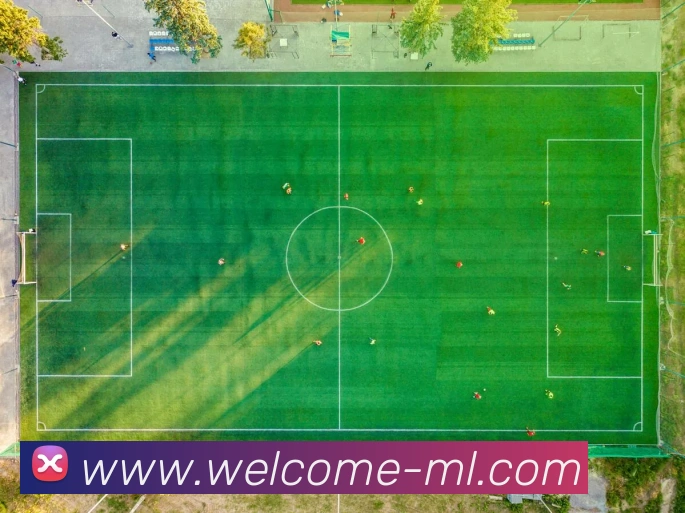 未来规划